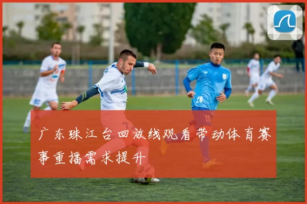 广东珠江台回放线观看带动体育赛事重播需求提升