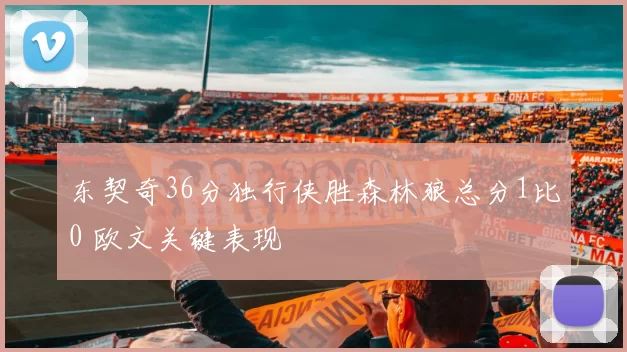 东契奇36分独行侠胜森林狼总分1比0 欧文关键表现