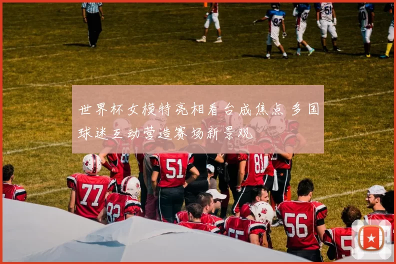 世界杯女模特亮相看台成焦点 多国球迷互动营造赛场新景观